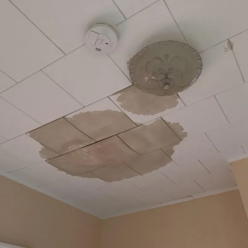 Ceiling Water Damage Repair in Mitchell, SD