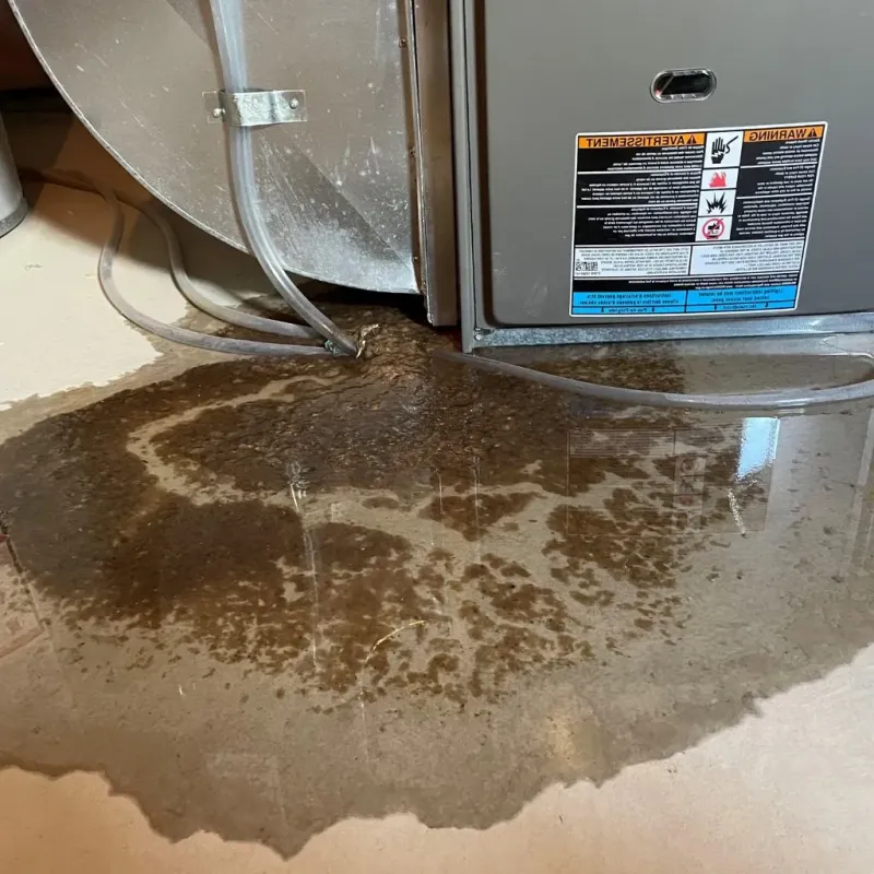 Pipe Burst and Leak Restoration in Mitchell, SD