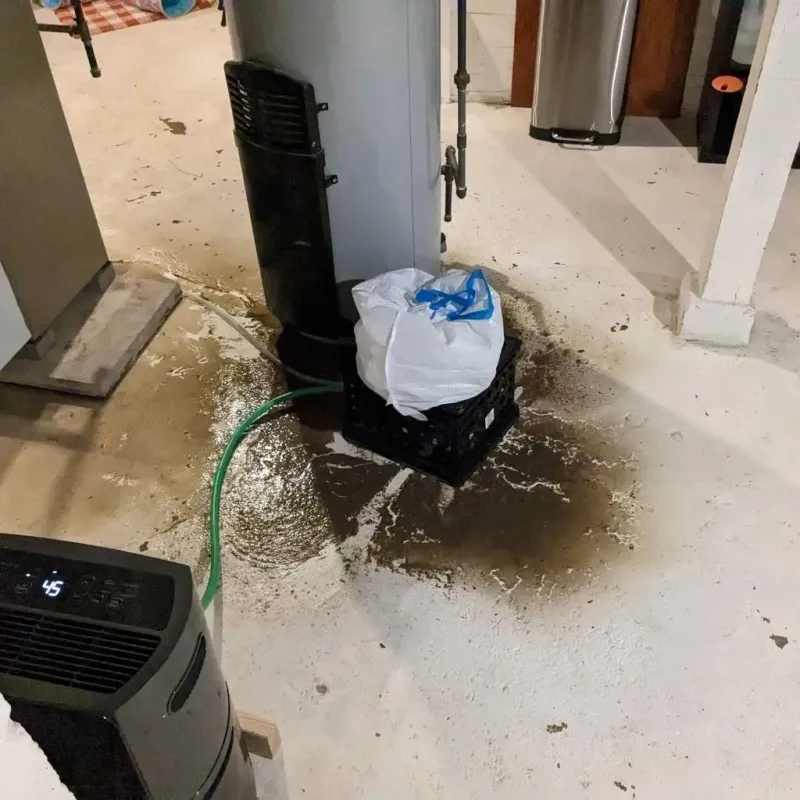 Sewage Backup Cleanup Service in Mitchell, SD